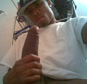 138450 - Black Cock Gallery