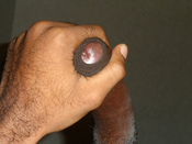 138784 - Black Cock Gallery