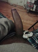 138989 - Black Cock Gallery