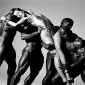 13946 - Black Cock Gallery