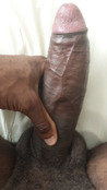 139822 - Black Cock Gallery