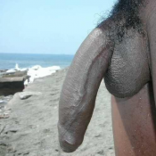 140305 - Black Cock Gallery