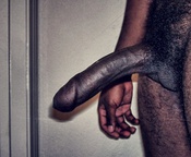 140419 - Black Cock Gallery