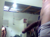 140675 - Black Cock Gallery