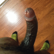 140706 - Black Cock Gallery