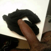 141016 - Black Cock Gallery