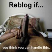 141739 - Black Cock Gallery