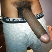 141877 - Black Cock Gallery