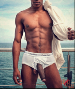 142202 - Black Cock Gallery