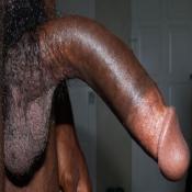1423 - Black Cock Gallery
