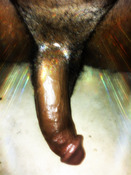 143787 - Black Cock Gallery