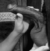 143816 - Black Cock Gallery