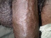 144027 - Black Cock Gallery