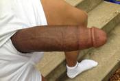 144355 - Black Cock Gallery