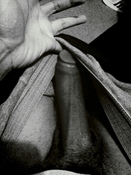 144991 - Black Cock Gallery