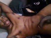 145203 - Black Cock Gallery