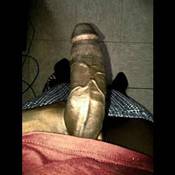 145395 - Black Cock Gallery