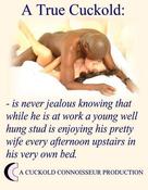 146976 - Black Cock Gallery