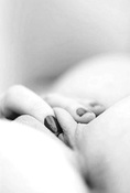 149103 - Black Cock Gallery