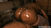 153129 - Black Cock Gallery