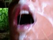 154482 - Black Cock Gallery