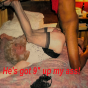 155070 - Black Cock Gallery