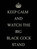 156358 - Black Cock Gallery