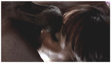159801 - Black Cock Gallery