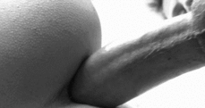 161297 - Black Cock Gallery