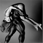 16160 - Black Cock Gallery