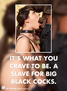 163597 - Black Cock Gallery