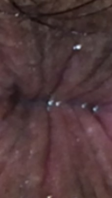 165131 - Black Cock Gallery