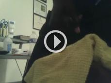 167492 - Black Cock Gallery