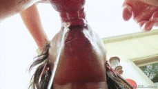 168167 - Black Cock Gallery