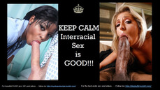 168334 - Black Cock Gallery