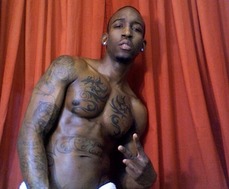 168997 - Black Cock Gallery