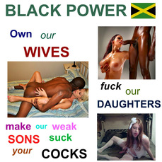 170068 - Black Cock Gallery