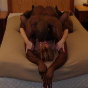 17154 - Black Cock Gallery