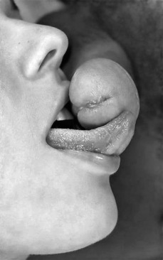 175799 - Black Cock Gallery