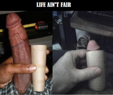 177005 - Black Cock Gallery