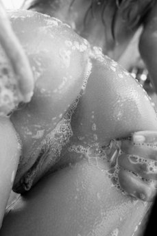 177661 - Black Cock Gallery