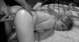 178452 - Black Cock Gallery
