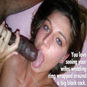 17930 - Black Cock Gallery