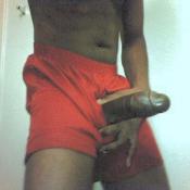 1821 - Black Cock Gallery