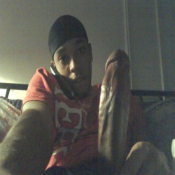 1826 - Black Cock Gallery