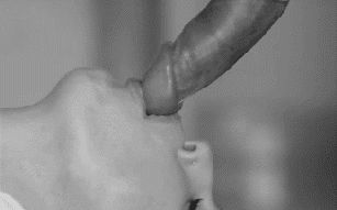 184389 - Black Cock Gallery