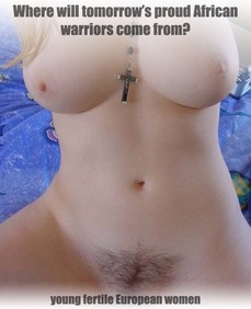 184688 - Black Cock Gallery