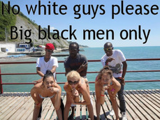 187555 - Black Cock Gallery