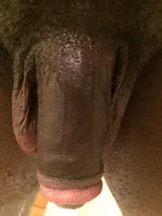 189880 - Black Cock Gallery