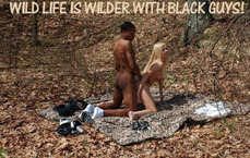 191779 - Black Cock Gallery